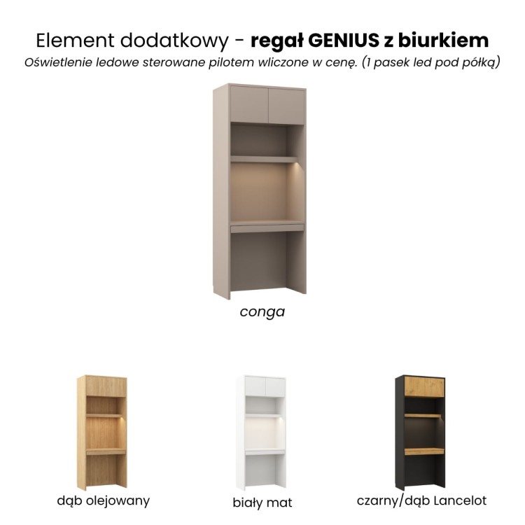 regał GENIUS z biurkiem